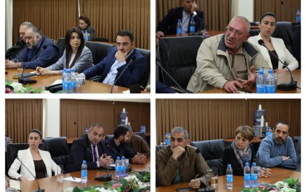 Ինչ-որ պրինցիպներով չենք առաջնորդվում, մեր իրավունքը ոտնահարել են. Անաստաս Միկոյան 64-ի բնակիչ