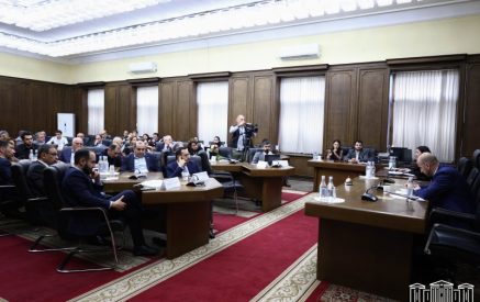 Շատ մեծ ծավալի աշխատանք է կատարվել, ներկայացված բոլոր առաջարկները մանրամասն վերլուծվել եւ քննարկվել են. Ժաննա Անդրեասյան
