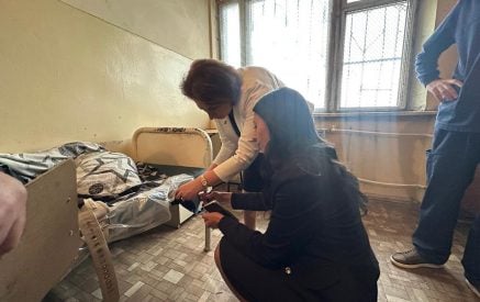 Անահիտ Մանասյանն ուսումնասիրել է «Ավան» հոգեկան առողջության կենտրոնի բաժանմունքներում ֆիզիկական զսպման սենյակների, կիրառվող միջոցների ընթացակարգերը