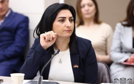 «Գոնե Դուք գիտե՞ք՝ ովքեր էին, որ բանուկ թաղամասում ոստիկանության աչքի առաջ նվաստացրել, ծեծի են ենթարկել երիտասարդին»․ Թագուհի Թովմասյանը՝ Քննչական կոմիտեի նախագահին
