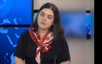 «Պետք է նորից դիմենք դատարան՝ 070 կոդով անձնագրով արցախցիների ընտրական իրավունքը վերականգնելու պահանջով»․ Նարե Սիմոնյան