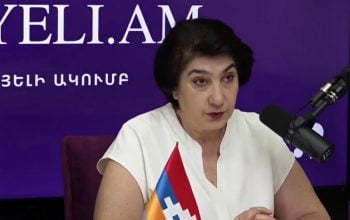 Ձյունիկ Աղաջանյան. «Իշխանության հանձնառությունը Հայաստանը հայապատկանությունից վերացնելն է, ժողովրդագրական պատկերի արագ փոփոխման արդյունքում թուրքական տարածք դարձնելը եւ հայկական հարցը մեկընդմիշտ փակելը»