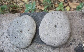 «Շենգավիթ» հնավայրի տարածքում շատ կան ձեռակերտ փոսորակներով քարեր