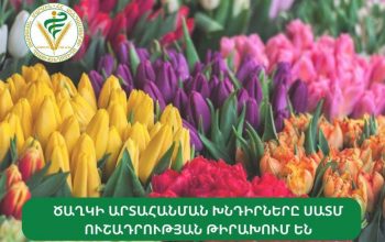 Արդեն 7 կազմակերպության թույլատրվել է ծաղկի արտահանումը Ռուսաստան