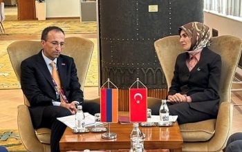 Գյոքթաշը երդվյալ ու սկզբունքային հակահայերից է. տարիներ առաջ Բելգիայում նրան հեռացրին կուսակցությունից, պատճառը Հայոց ցեղասպանության հերքումն էր. Վարուժան Գեղամյան