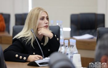 Պետք է գան նոր ուժեր, որոնք կարող են, ունակ են, ուզում են. Էլինար Վարդանյան