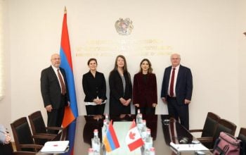 Սրբուհի Գալյանը միջազգային գործընկերներին ներկայացրել է Սահմանադրական բարեփոխումների օրակարգը