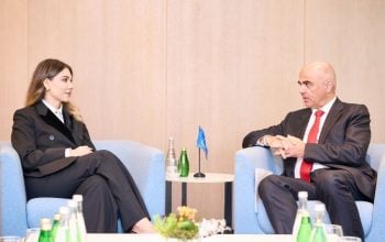 Ստրասբուրգում Սրբուհի Գալյանը և ԵԽ գլխավոր քարտուղարը քննարկել են Սահմանադրական բարեփոխումների ընթացքը