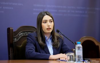 «Ի՞նչ անենք՝ խոհանոցային բոլոր դանակները հավաքե՞նք, արգելե՞նք»․ Արփինե Սարգսյանը՝ սպանությունների կանխման հարցում ոստիկանության թերացման մասին