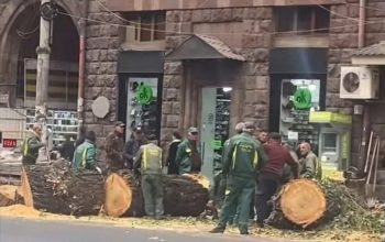 «Թրանսփարենսի Ինթերնեշնլ» կազմակերպությունը տեղեկանք է հրապարակել՝ Երեւանի հանրային կանաչ տարածքների վերաբերյալ