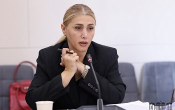 «Ցանկացած գործիք և ցանկացած մեխանիզմ պետք է օգտագործել այս իշխանություններից ազատվելու և երկիրը ռիսկերից հանելու համար». Էլինար Վարդանյան