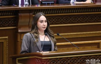 Առաջին ընթերցմամբ ընդունվել է «Կենդանիների նկատմամբ պատասխանատու վերաբերմունքի մասին» օրենքի նախագիծը