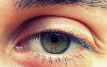 «Իմ բարեվարքությունը արտերկրում և վերադարձը ճիշտ ժամանակին կարող է երաշխավորվել պայմանագրային հիմքով»