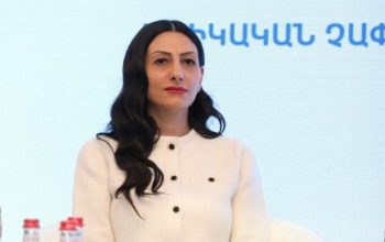 Մենք պետք է մշտապես մասնակցենք մեզ վերաբերելի որոշումների կայացման գործընթացներին․ Անահիտ Մանասյան