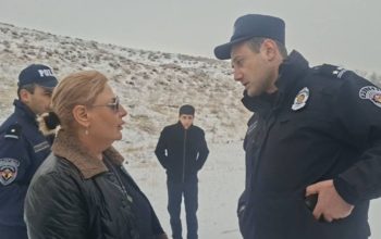 Ստերջացման փոխարեն՝ շների մեծ մասին սատկացրել են, կենդանի վիճակում այրել․ նախաձեռնվել է քրեական վարույթ