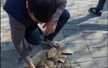 Շուրջ 900.000 ԱՄՆ դոլարով բարեկարգված այգին արդեն քանդվել է․ խոսքը պարզապես վատ կառավարման մասին չէ․ դա արդեն կոռուպցիոն բարձր ռիսկի ցուցիչ է