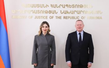 Սրբուհի Գալյանը ԵԽ Մարդու իրավունքների հանձնակատարին ներկայացրել է մարդու իրավունքների պաշտպանության ոլորտում նախարարության համակարգմամբ ձեռնարկված քայլերը