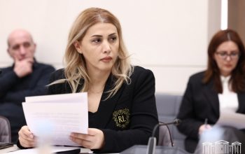«Սրանք իրենց կողմից հերթական քայլերն են, որոնք տեղավորվում են բացառապես քաղաքական հետապնդման շրջանակներում»․ Էլինար Վարդանյանը՝ «Մուլտի Վելնես»-ի հետ կատարվողի մասին