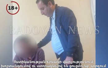 Բռնության ցանկացած դրսևորում դատապարտելի է։ Պետությունը ունի հստակ իրավական պարտավորություններ. ՄԻՊ