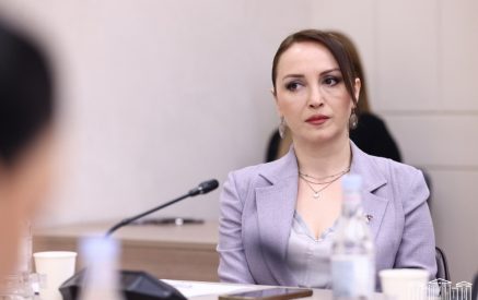 Օրենքում ձեւակերպումներից ենթադրում է, որ առողջապահական համակարգում երկու տարի վարորդ աշխատած մարդը կարող է հավակնել կառավարման հաստիքների․ Լուսինե Բադալյան