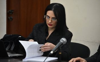 «Նշվում է, թե դեպքը տեղի է ունեցել «Վանաձոր» ՔԿՀ-ում, մինչդեռ իրականում այն տեղի է ունեցել «Նուբարաշեն» ՔԿՀ-ում». Աննա Ծառուկյան