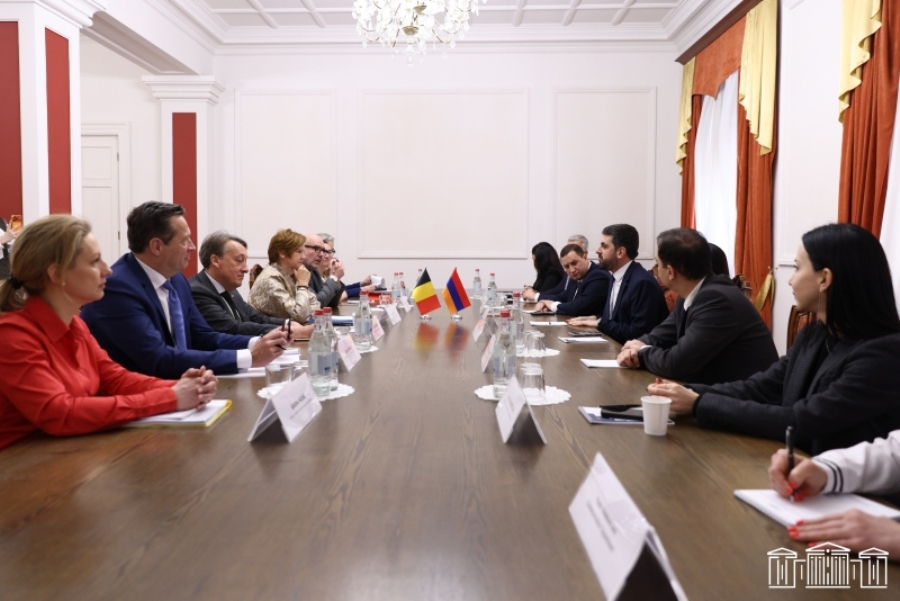 ԱԺ-ում Բելգիայի խորհրդարանի պատվիրակությանն է ներկայացվել TRIPP նախագիծը