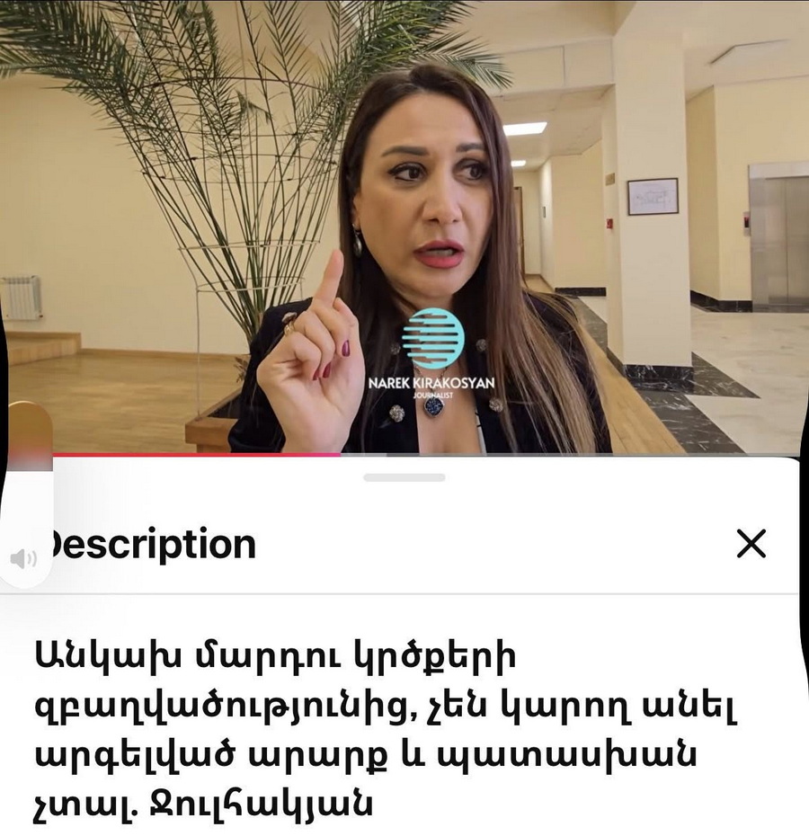 «Կերակրող մորը կամ կնոջ մարմինը նմանատիպ համատեքստում հիշատակելը վկայում է միայն մեկ բանի մասին՝ ձեր սեփական բարոյական և ինտելեկտուալ սնանկության». Քրիստինե Վարդանյան