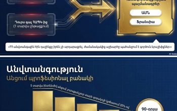 Դուրս գալ ՀԱՊԿ-ից, ՌԴ-ի հետ համատեղ ՀՕՊ համակարգից, ռազմավարական համագործակցություն սկսել ԱՄՆ-ի եւ Ֆրանսիայի հետ, ձեւավորել պրոֆեսիոնալ բանակ