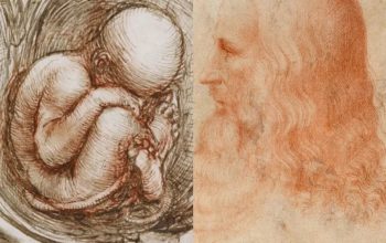 Ապրելով ժամանակից առաջ․ Լեոնարդո դա Վինչիի անատոմիական որոնումները