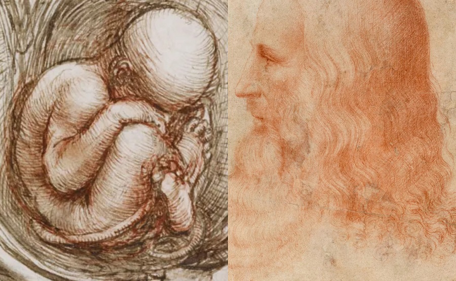 Ապրելով ժամանակից առաջ․ Լեոնարդո դա Վինչիի անատոմիական որոնումները