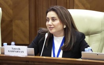 Մեզ անհրաժեշտ է նաեւ վստահություն, հստակ կանոններ եւ ավելի սերտ կապեր ԵՄ-ի հետ. Տաթեւիկ Գասպարյան