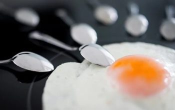 «Ուլտրավերամշակված» սննդի՝ մեծ չափով օգտագործումը բացասաբար է ազդում կանանց ու տղամարդկանց վերարտադրողական առողջության վրա