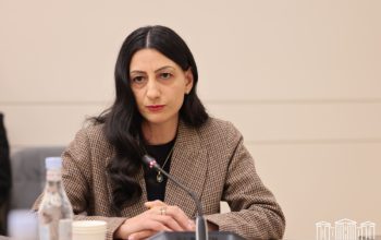 2025 թ.-ին ՄԻՊ աշխատակիցներն իրականացրել են 333 այց, նախորդ տարվանից 71-ով ավելի. Անահիտ Մանասյան