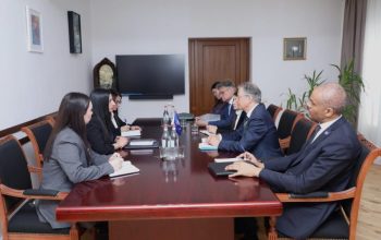 Անահիտ Մանասյանը կարևորել է Եվրոպայի խորհրդի հետ հաստատված սերտ, կայուն և արդյունավետ համագործակցությունը