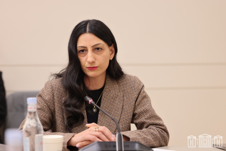 2025 թ.-ին ՄԻՊ աշխատակիցներն իրականացրել են 333 այց, նախորդ տարվանից 71-ով ավելի. Անահիտ Մանասյան