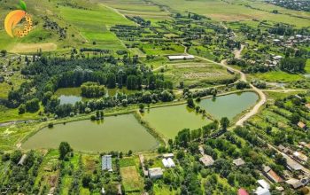 Գյուլագարակում և Կուրթանում խուզարկություններ են, բերման են ենթարկվել «Ուժեղ Հայաստանի» աջակիցներ