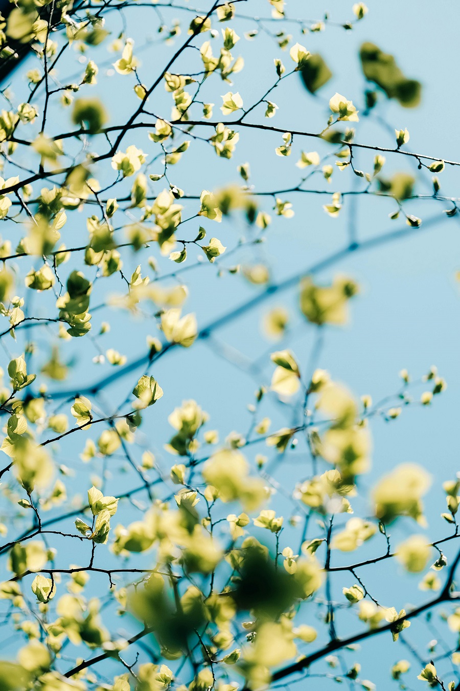 Առաջիկա հինգ օրվա եղանակի կանխատեսում