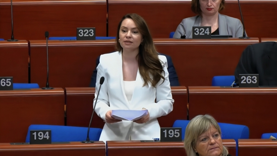 Ես անձամբ ենթարկվել եմ ատելության խոսքի թե՛ իմ տարիքի, թե՛ սեռի պատճառով․ Սոնա Ղազարյանի ելույթը ԵԽԽՎ-ում