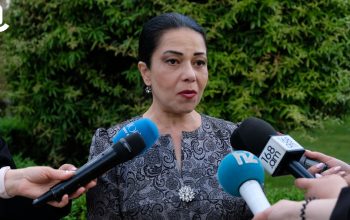 «Միշտ էլ խոսել եմ, իսկ հիմա, երբ քո մտահոգություններն ես առաջ բերում, էդ ինչ վիրավորական խոսքեր․․․ սա խոսքի ազատության մասին չի խոսում»․ Աննա Մայիլյան