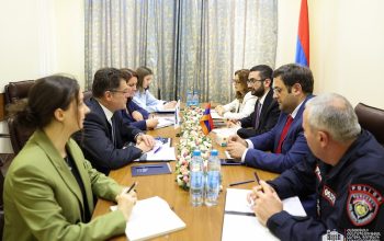 Քննարկվել են ընտրական գործընթացի և դիտորդական առաքելության գործունեության վերաբերյալ հարցեր