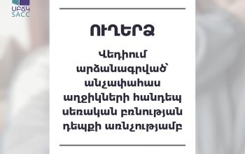 «ՀՀ-ն դեռևս չի ստեղծել այն պայմանները, որտեղ սեռական բռնության ենթարկվող անձը ու երեխան չի մեղադրվի». Սեռական բռնության ճգնաժամային Կենտրոն