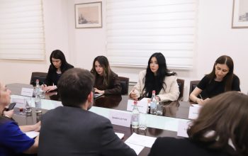 ԵԽԽՎ դիտորդների հետ հանդիպմանը Աննա Կարապետյանը վերահաստատել է ազատ, արդար և միջազգային չափանիշներին համապատասխանող ընտրական գործընթացներ ապահովելու ՀՀ հանձնառությունը 