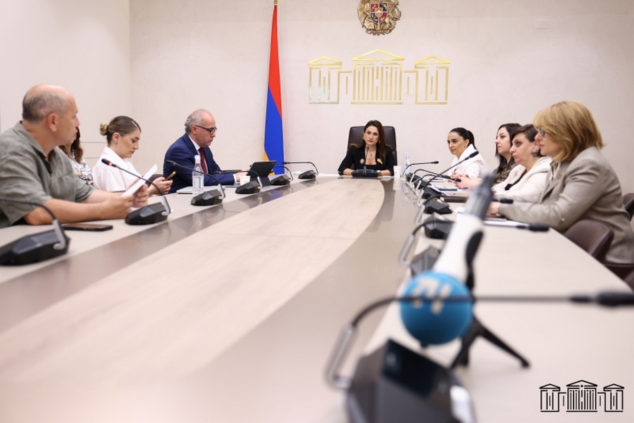 «Սա լրացուցիչ ճնշման ձև չի՞ լինի փաստաբանի մուտքը ազատազրկվա