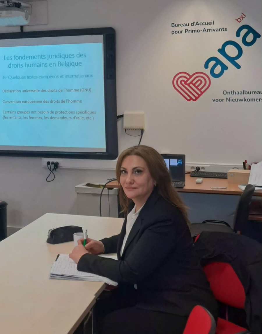 Հետիոտնի դիտարկումներ