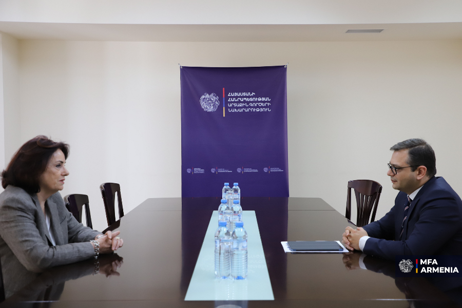 Աբիսողոմոնյանի և ԵԱՀԿ ԺՀՄԻԳ տնօրենի հանդիպմանը ընդ
