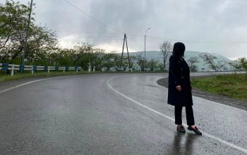 Հայաստանի իշխանությունը ոչ թե ընդհանուր հավաստիացումներ պետք է տա, այլ՝ հրապարակի բոլոր պայմանավորվածությունները. Մետաքսե Հակոբյան