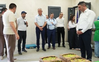 «Դիմակայուն Սյունիք Թիմ Եվրոպա» նախաձեռնության շրջանակում արդեն մոբիլիզացվել է 258 միլիոն եվրո