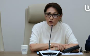 Պատրաստ են նաև անձամբ ու մենակ մեկնել Բաքու․ Լիլիթ Գալստյանը մարդասիրական դիմում-նամակով դիմել է ԵԱՀԿ ԽՎ