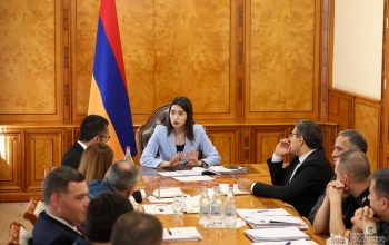 Քննարկվել է կառավարության ծրագրի՝ ՆԳՆ և ենթակա ծառայություններին վերաբերող դրույթների կատարման ընթացքը