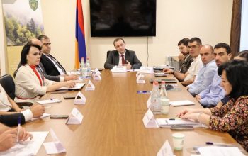 ICCWC-ի հետ համագործակցության համակարգման խմբի անդամները քննարկել են Հայաստանի կարիքներին առավել համապատասխան աջակցության ուղղությունները